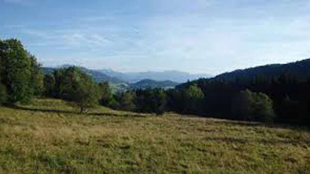 Les paturages de l'Herpettaz