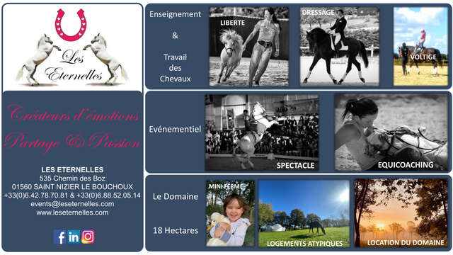 Equi'coaching aux écuries Les Éternelles