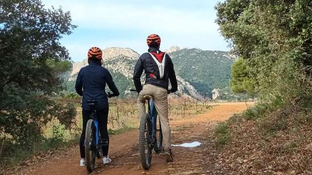 Balade à VTT électrique dans le vignoble et dégustation - Rhonéa