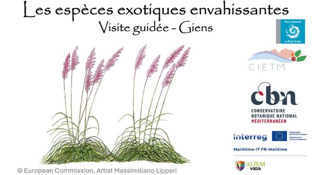 Balade nature Giens : les trésors du Var menacés