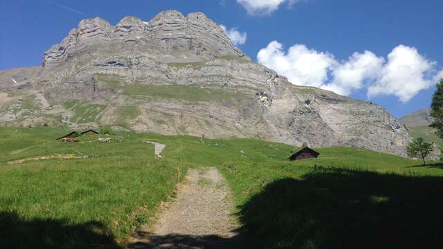 sentier pédestre : les Quatre Têtes par Doran (2364 m)