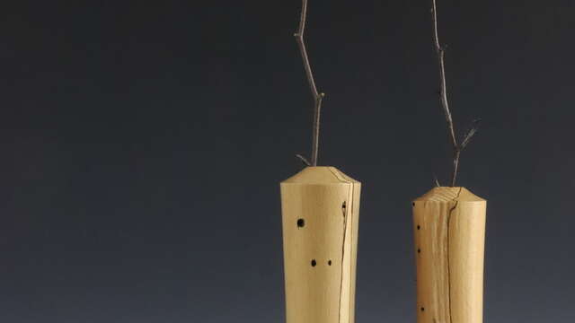 Elisabeth Molimard - Tournage d'Art sur Bois