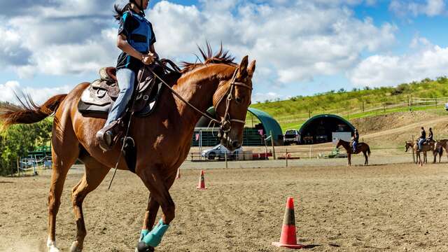 Promenade à cheval 2h - Lasbleiz Western Training