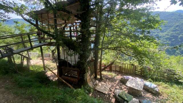 Chambre d'hôtes Gaïa Luna "Huttli la tente dans les arbres"