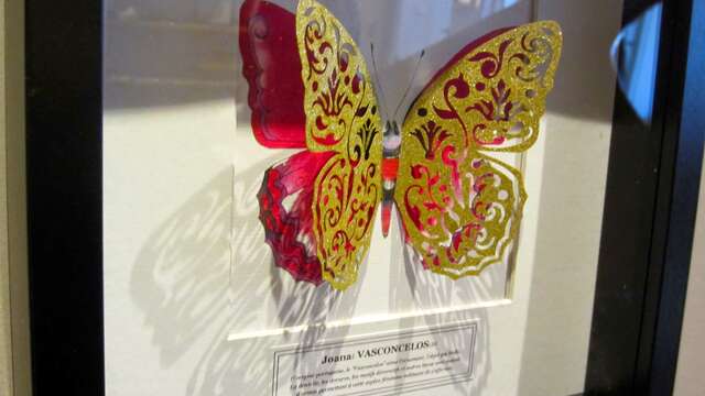 L'effet papillon
