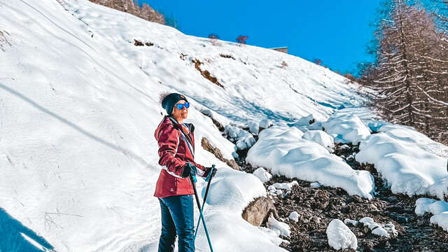 Randonnée raquette : Animaux de montagne