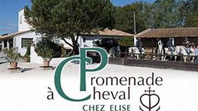 Chez Elise - Mas des Barres