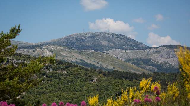 Mont Lachens, le toit du Var