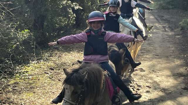 Balade familiale en poney et cheval par les écuries du Moulin Moreau