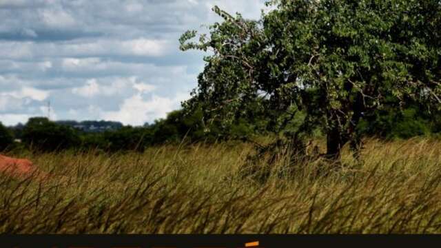 Printemps des Poètes : Atelier "SLAM, du texte à la voix"
