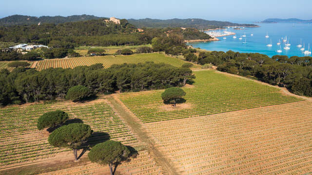 Oeno - sensory stroll in Porquerolles