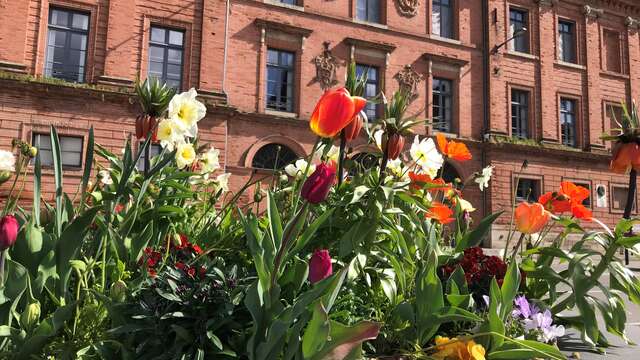 Museo de Historia Natural de Montauban