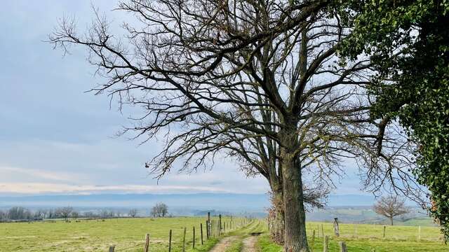 Sentier Le Funiculaire de Biesse