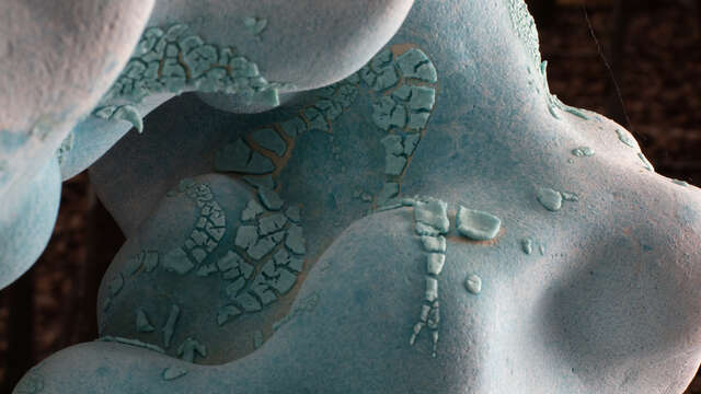 Installation céramique : Aquam Requiem