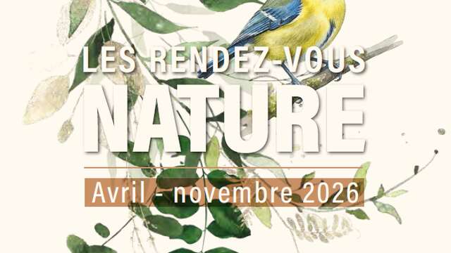 Les rendez-vous nature : Une nuit avec les papillons