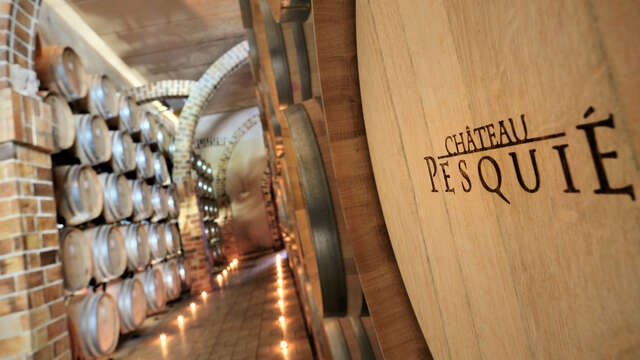 Guided visit of the cellars and tasting at Château Pesquié