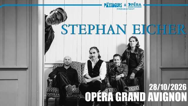 Stéphane Eicher en concert