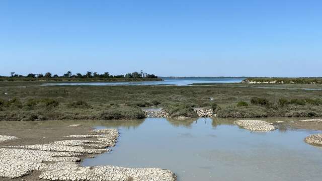 Marruecos y Fier d'Ars