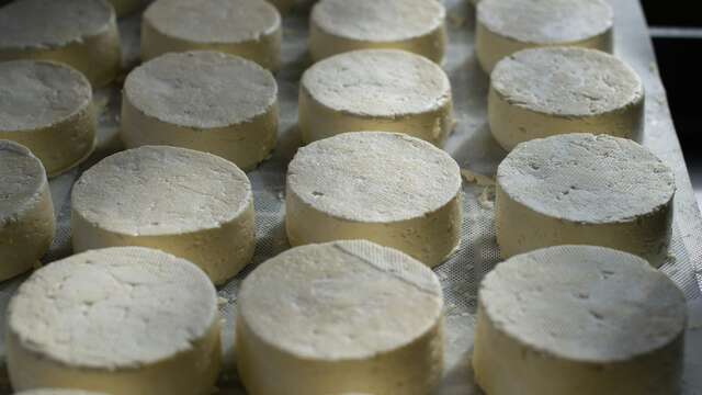 Atelier du lait au fromage à la ferme du Petit Mont