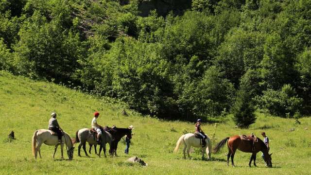 Promenade à cheval, balades et randonnées