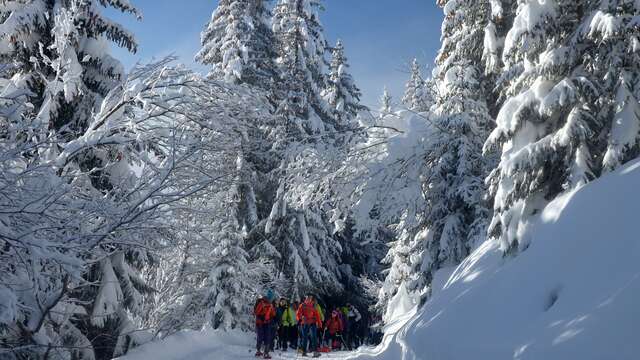 Randonnées Raquettes en petits groupes - Montagne Activités