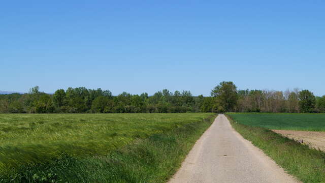 Sentier Les bords de Loire