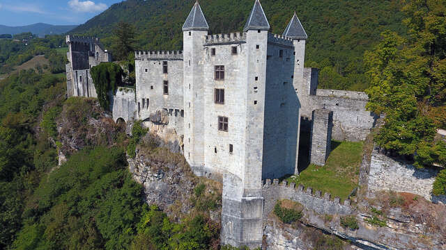 Conférence "Protéger, résider, paraître : archéologie des châteaux des Alpes du nord (1970-2025)"