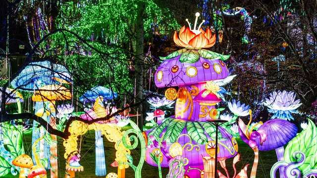 Illuminations « Voyage au pays des lanternes »