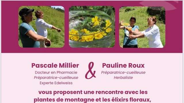 Stage terrain autour des Elixirs Floraux en Queyras