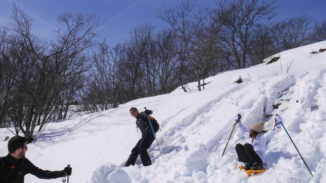 Balade raquette 1/2 journée
