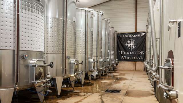 Visit of the vineyards of Terre de Mistral followed by a tasting session