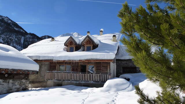 De Surirey Dominique - Le Bacha