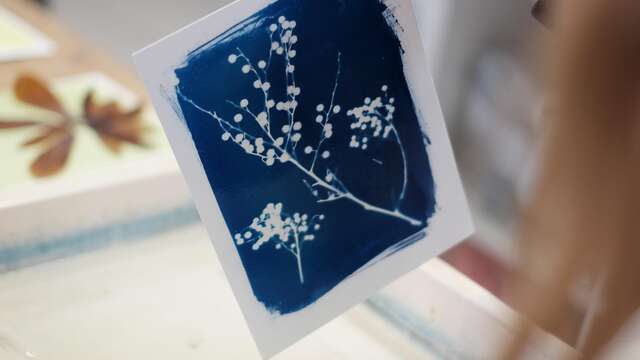Atelier cyanotype