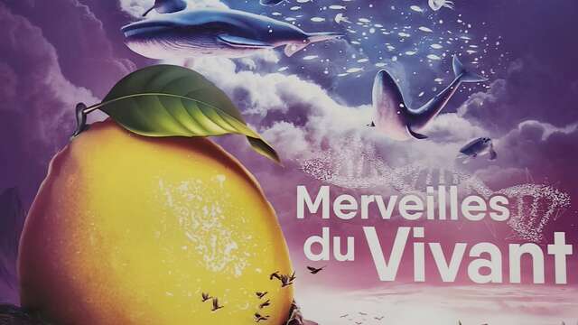 92nd Fête du Citron® - The wonders of life