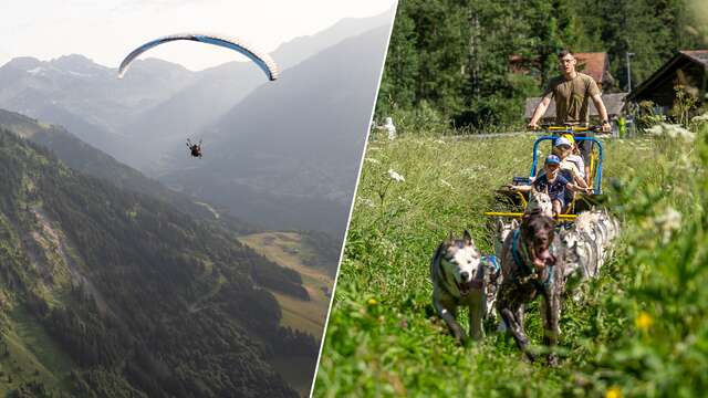 Parapente & Chiens de traîneau/Cani-Kart
