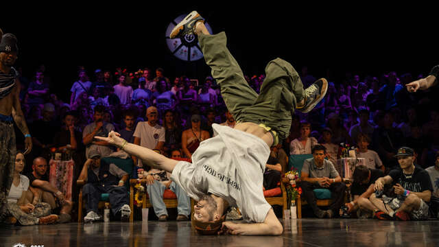 Festival Who got the Flower 2026