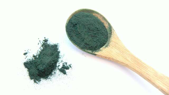 Spiruline de la fontaine