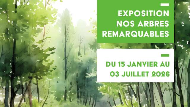 Exposición fotográfica «Nuestros árboles notables»