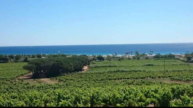 Camping de La Matarane