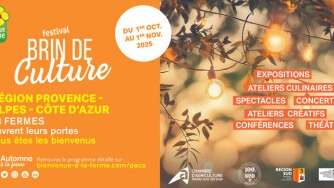 Concert Jazz manouche