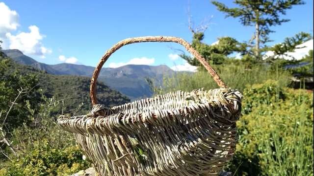 Rustic basketry workshop - baskets and baskets