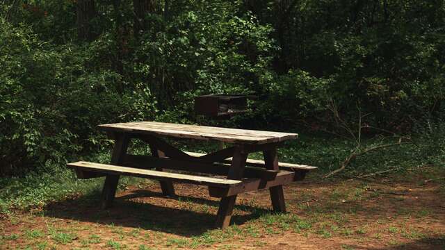 Aire pique nique Forêt Domaniale de Mallemoisson