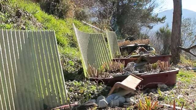 Phyto-Purification Workshop - Theory and project study