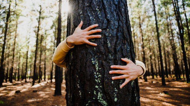 Pause nature et ressourcement