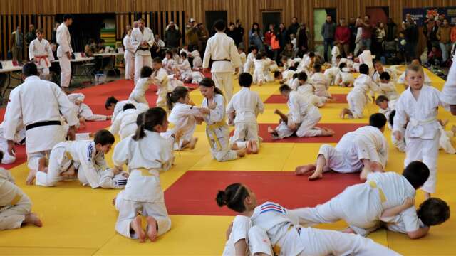 Dojo