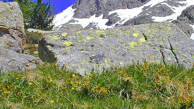 Le  Mercantour : 70 ans de protection de la nature racontés par le plus ancien garde-moniteur en service