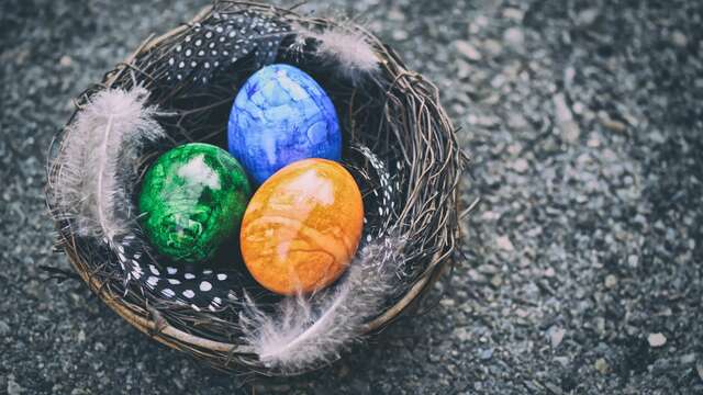 Rallye Photo : Chasse aux oeufs revisitée !