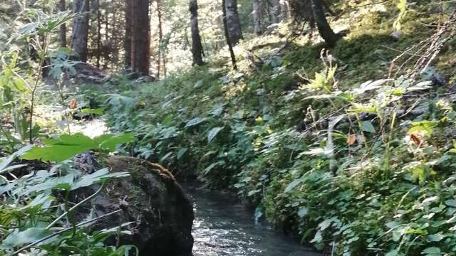 Randonnée "connexion matinale"