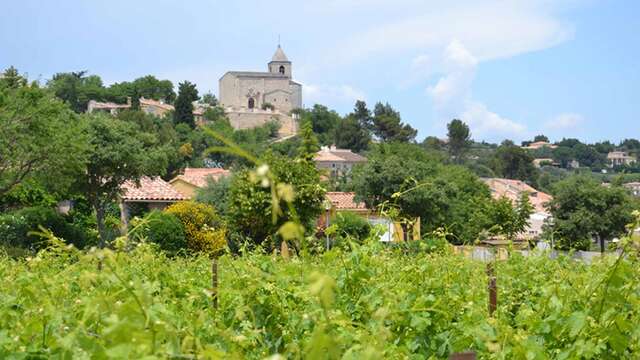 Balade & Découverte - Vineyard and cellar walks
