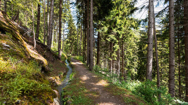 Bisse des Ravines